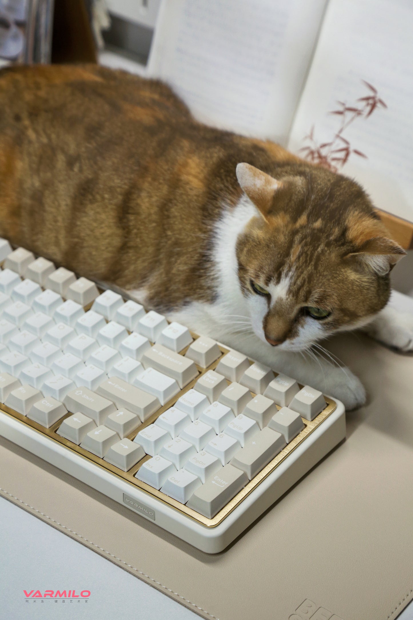 Varmilo Minilo98 Pro